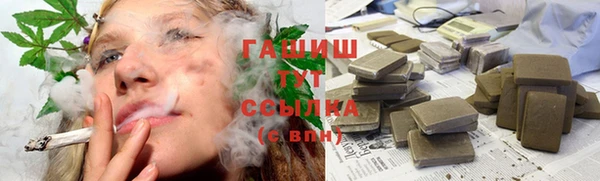 гидра Переславль-Залесский