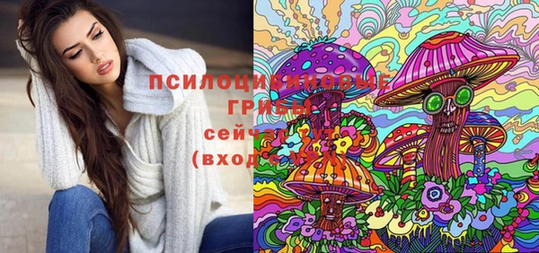 экстази Пересвет