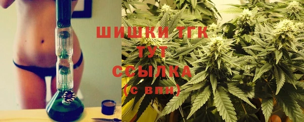 гидра Переславль-Залесский