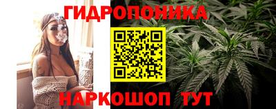 кокс Нарткала