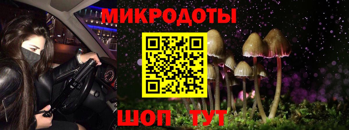 Псилоцибиновые грибы мицелий Симферополь